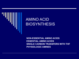 AMINO ACID BIOSYNTHESIS  NON-ESSENTIAL AMINO ACIDS ESSENTIAL AMINO ACIDS SINGLE CARBON TRANSFERS WITH THF PHYSIOLOGIC AMINES.