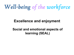 Well-being of the workforce Excellence and enjoyment Social and emotional aspects of learning (SEAL)