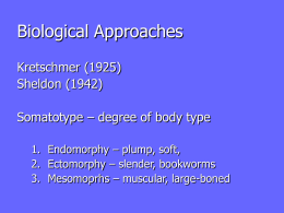 Biological Approaches Kretschmer (1925) Sheldon (1942) Somatotype – degree of body type 1. Endomorphy – plump, soft, 2.