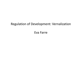 Regulation of Development: Vernalization Eva Farre Topics : •Overview on developmental transitions •Overview on the regulation of flowering •Regulation of flowering: vernalization.