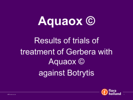 Aquaox © Results of trials of treatment of Gerbera with Aquaox © against Botrytis AFD xxxx.xx.xx.