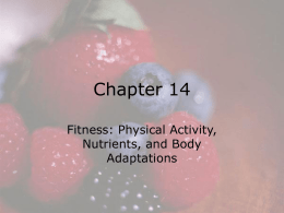 Chapter 14 Fitness: Physical Activity, Nutrients, and Body Adaptations  © 2008 Thomson - Wadsworth.