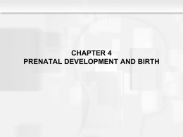 CHAPTER 4 PRENATAL DEVELOPMENT AND BIRTH Learning Objectives  • How does development unfold during the •  prenatal period from conception until the time of birth? What.