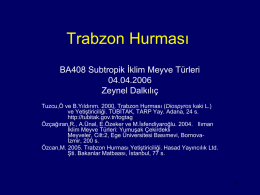 Trabzon Hurması BA408 Subtropik İklim Meyve Türleri 04.04.2006 Zeynel Dalkılıç Tuzcu,Ö ve B.Yıldırım. 2000.