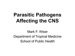 Parasitic Pathogens Affecting the CNS Mark F. Wiser Department of Tropical Medicine School of Public Health.