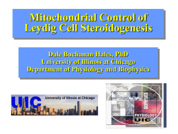 Mitochondrial Control of Leydig Cell Steroidogenesis Dale Buchanan Hales, PhD University of Illinois at Chicago Department of Physiology and Biophysics.