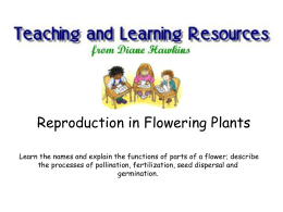 Reproduction in Flowering Plants Learn the names and explain the functions of parts of a flower; describe the processes of pollination, fertilization,