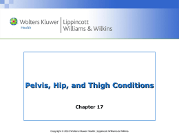 Pelvis, Hip, and Thigh Conditions Chapter 17  Copyright © 2013 Wolters Kluwer Health | Lippincott Williams & Wilkins.