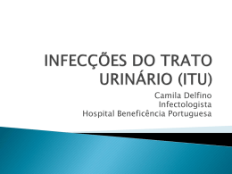 Camila Delfino Infectologista Hospital Beneficência Portuguesa Dados mundiais:  130-175 milhões de infecções do trato urinário (ITU)/ano  Custo de 1.6 bilhões de dólares 