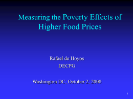 Measuring the Poverty Effects of  Higher Food Prices  Rafael de Hoyos DECPG Washington DC, October 2, 2008