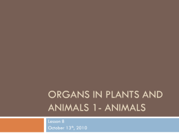 ORGANS IN PLANTS AND ANIMALS 1- ANIMALS Lesson 8 October 13th, 2010 What is an Organ?         An organ is an organized group of tissues.