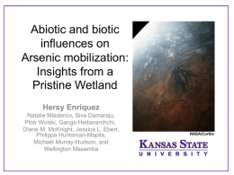 Abiotic and biotic influences on Arsenic mobilization: Insights from a Pristine Wetland Hersy Enriquez Natalie Mladenov, Siva Damaraju, Piotr Wolski, Ganga Hettiararchchi, Diane M.