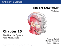 Chapter Lecture Chapter10 1 Lecture  HUMAN ANATOMY Fifth Edition  Chapter 10 The Muscular System: Axial Musculature  Frederic Martini Michael Timmons Robert Tallitsch  Copyright © 2005 Pearson Education, Inc., publishing as Benjamin Cummings.