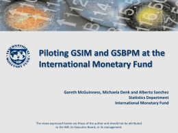 Piloting GSIM and GSBPM at the International Monetary Fund Gareth McGuinness, Michaela Denk and Alberto Sanchez Statistics Department International Monetary Fund  The views expressed herein.