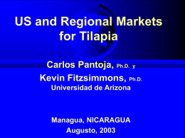 US and Regional Markets for Tilapia Carlos Pantoja, Ph.D. y Kevin Fitzsimmons, Ph.D. Universidad de Arizona  Managua, NICARAGUA Augusto, 2003
