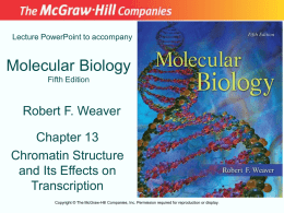 Lecture PowerPoint to accompany  Molecular Biology Fifth Edition  Robert F. Weaver Chapter 13 Chromatin Structure and Its Effects on Transcription Copyright © The McGraw-Hill Companies, Inc.