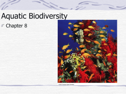 Aquatic Biodiversity Chapter 8 Chapter Overview Questions What are the basic types of aquatic life zones and what factors influence the kinds of life.