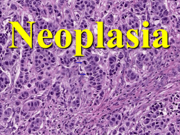 Neoplasia NEOPLASIA (TUMORS) Definitions  Nomenclature  Biology of Tumor Growth  Epidemiology  Molecular Basis of Cancer  Molecular Basis of Carcinogenesis  Agents (The Usual.