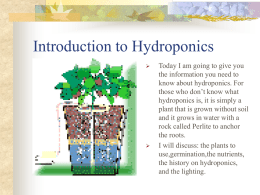 Introduction to Hydroponics     Today I am going to give you the information you need to know about hydroponics.