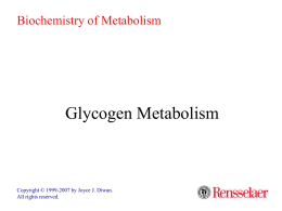Biochemistry of Metabolism  Glycogen Metabolism  Copyright © 1999-2007 by Joyce J. Diwan. All rights reserved.