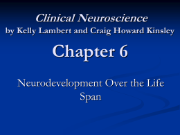 Clinical Neuroscience by Kelly Lambert and Craig Howard Kinsley  Chapter 6 Neurodevelopment Over the Life Span.