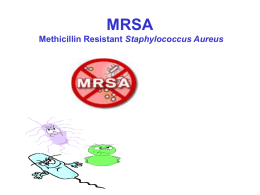 MRSA Methicillin Resistant Staphylococcus Aureus Staphylococcus aureus  • • •  They are referred to simply as "staph" They are bacteria commonly carried on the skin or.
