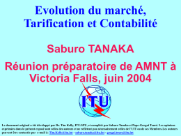 Evolution du marché, Tarification et Contabilité Saburo TANAKA Réunion préparatoire de AMNT à Victoria Falls, juin 2004  Le document original a été développé par Dr.