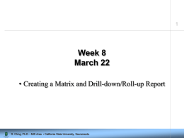 Week 8 March 22 • Creating a Matrix and Drill-down/Roll-up Report  R. Ching, Ph.D.