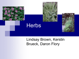 Herbs Lindsay Brown, Kerstin Brueck, Daron Flory What is an herb? Herb- 1.