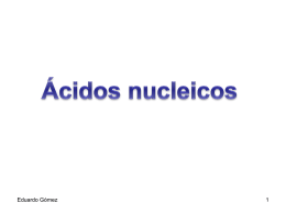 Eduardo Gómez Concepto Los ácidos nucleicos son biomoléculas muy grandes. El peso molecular de estos polímeros es muy elevado: en el caso del.