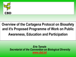 CBD  Overview of the Cartagena Protocol on Biosafety and it's Proposed Programme of Work on Public Awareness, Education and Participation Erie Tamale Secretariat of the.