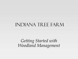 Indiana Tree Farm Getting Started with Woodland Management Start by asking yourself some questions What do we have? – Family farm, sole ownership, LFP, LLC,