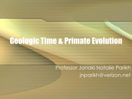 Geologic Time & Primate Evolution Professor Janaki Natalie Parikh jnparikh@verizon.net Geologic Time • 65 mya what major event occurred? • Mass extinction of dinosaurs.