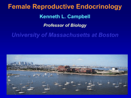 Female Reproductive Endocrinology Kenneth L. Campbell Professor of Biology  University of Massachusetts at Boston.