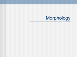 Morphology Overview We all have an internal mental dictionary called a lexicon  Morphology is the study of words (the study of our lexicon) 