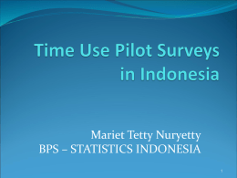 Mariet Tetty Nuryetty BPS – STATISTICS INDONESIA Pilot Surveys  1998-9: In the selected 100 villages  (Survei Seratus Desa or SSD)   2004: Jakarta.