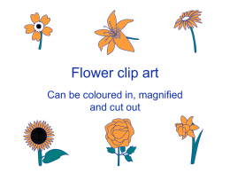 Flower clip art Can be coloured in, magnified and cut out Use of templates You are free to use these templates for your.