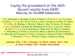 Laying the groundwork at the AGS: Recent results from E895 Mike Lisa, for the E895 Collaboration  N.N.