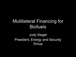 Multilateral Financing for Biofuels Judy Siegel President, Energy and Security Group Presentation Overview • World Bank • Inter-American Development Bank • Areas for Collaboration with IFAD.