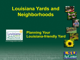 Louisiana Yards and Neighborhoods  Planning Your Louisiana-friendly Yard www.lsuagcenter.com/lyn About the LY&N Program • The goal is to encourage homeowners to create and maintain landscapes in.