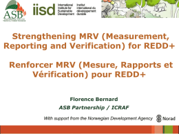 Strengthening MRV (Measurement, Reporting and Verification) for REDD+ Renforcer MRV (Mesure, Rapports et Vérification) pour REDD+ Florence Bernard ASB Partnership / ICRAF With support from the.