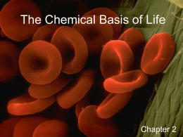 The Chemical Basis of Life  Chapter 2 What’s Matter? Nothing…what’s matter with you?  • Any substance that has mass and occupies space it matter •
