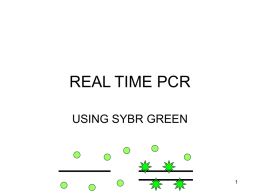 REAL TIME PCR USING SYBR GREEN THE PROBLEM • NEED TO QUANTITATE DIFFERENCES IN mRNA EXPRESSION • SMALL AMOUNTS OF mRNA – LASER CAPTURE – SMALL.