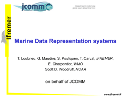 Marine Data Representation systems T. Loubrieu, G. Maudire, S. Pouliquen, T.