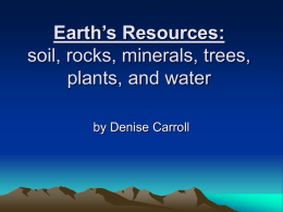 Earth’s Resources: soil, rocks, minerals, trees, plants, and water by Denise Carroll Who Studies Soil and Rocks? • A geologist is a scientist who.