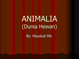 ANIMALIA (Dunia Hewan) By: Maududi MA. CIRI CIRI UMUM KINGDOM ANIMAL Eukariot,  Multiseluler  Tidak memiliki dinding sel dan klorofil  Heterotrof  Dapat bergerak untuk.