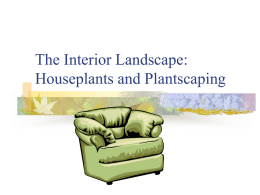 The Interior Landscape: Houseplants and Plantscaping Caring for Interior Plants   Before caring for a plant you need to answer the following questions.        What is.