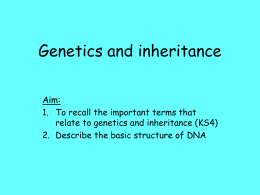 Genetics and inheritance Aim: 1. To recall the important terms that relate to genetics and inheritance (KS4) 2.