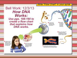 Write “Flow Chart” in your sprial.  Bell Work: 12/3/13  How DNA Works: Use pgs.