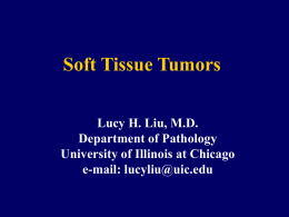 Soft Tissue Tumors Lucy H. Liu, M.D. Department of Pathology University of Illinois at Chicago e-mail: lucyliu@uic.edu.